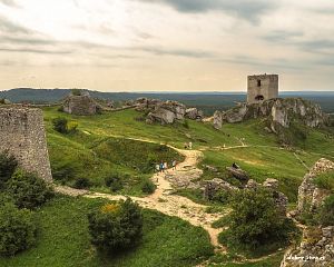 Daniela Valchářová