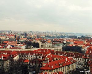 Daniela Valchářová