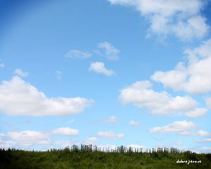Daniela Valchářová