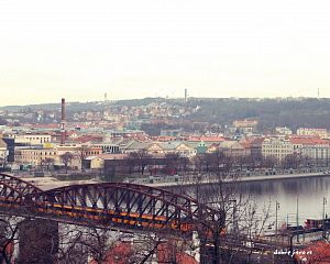 Daniela Valchářová