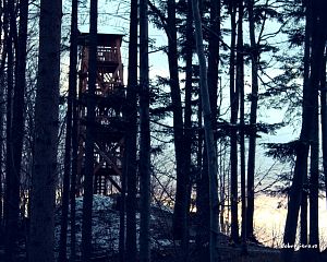 Daniela Valchářová