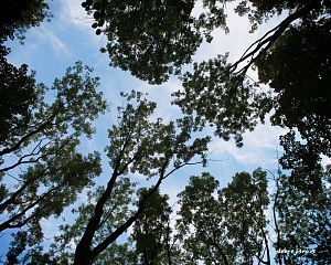 Daniela Valchářová