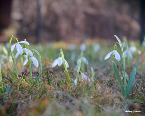 Daniela Valchářová
