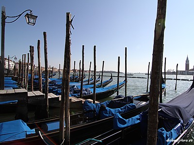 tapeta