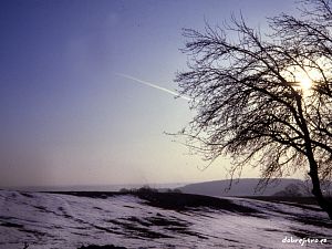 ČSOP-ARON