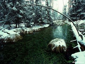 ČSOP-ARON