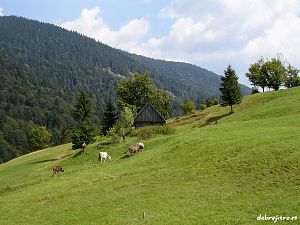 ČSOP-ARON