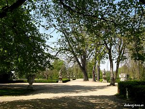 Alžběta Fürstová