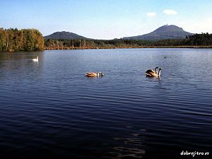 ČSOP-ARON