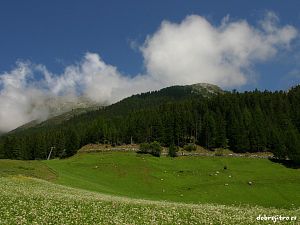 Dobrejitro.cz