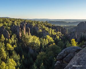 Daniela Valchářová