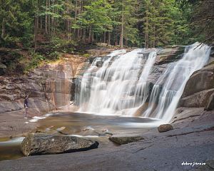 Daniela Valchářová