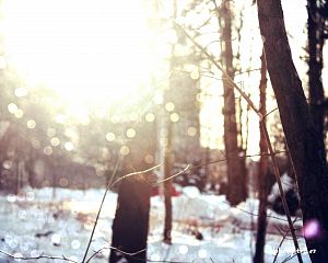 Daniela Valchářová