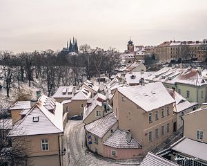 Daniela Valchářová
