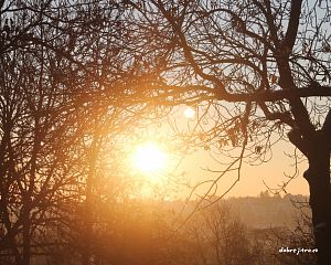 Daniela Valchářová