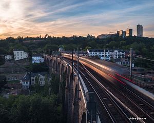 Daniela Valchářová