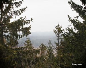 Daniela Valchářová