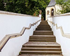 Daniela Valchářová