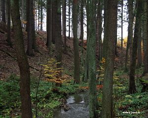Daniela Valchářová