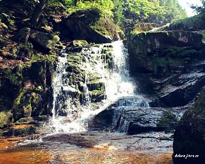 Daniela Valchářová