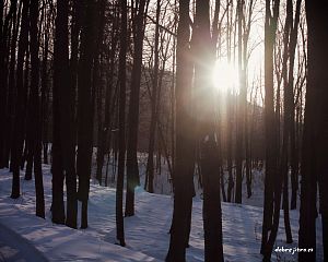 Daniela Valchářová