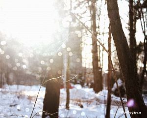 Daniela Valchářová